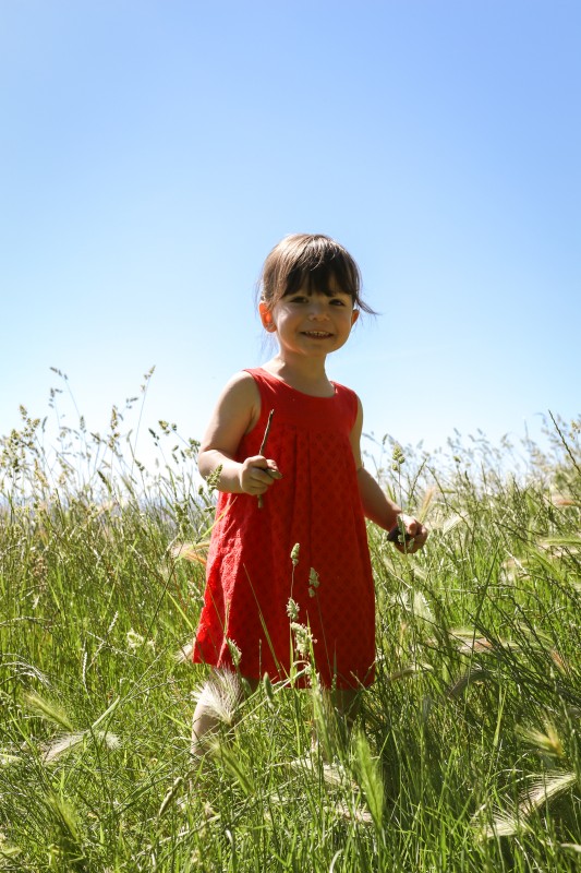 Fillette en robe rouge dans un champ